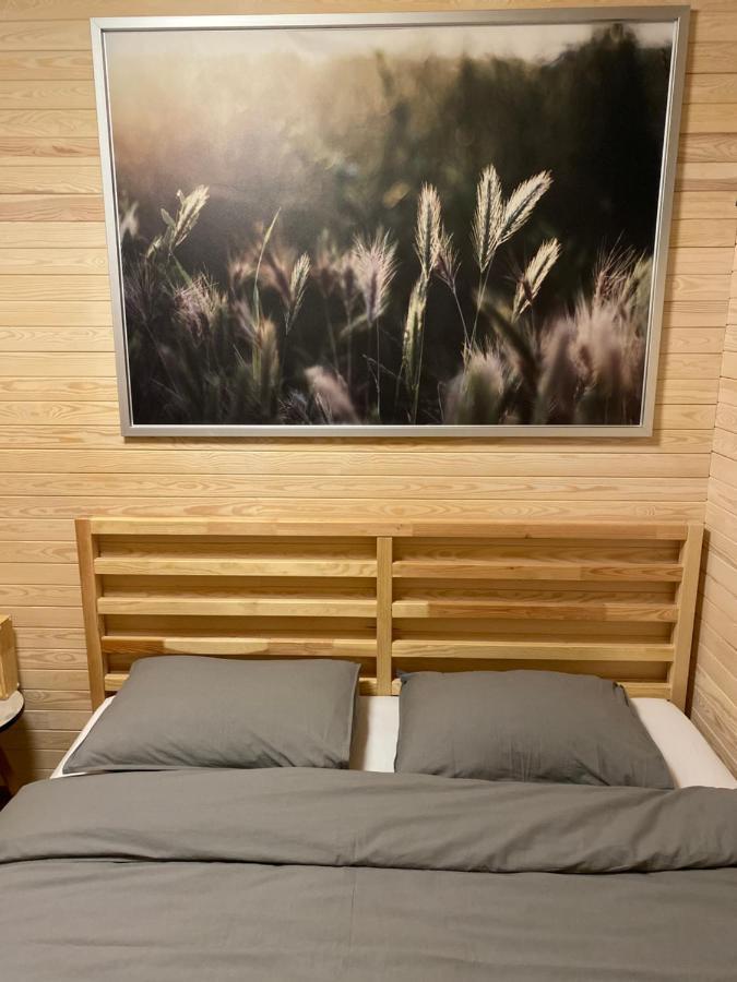 Вілла Tiny House Цесіс Екстер'єр фото